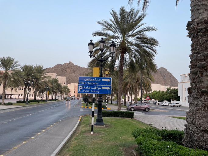 Others 3, old muscat, Muscat