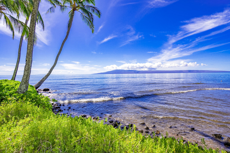 Others 5, Wavecrest, Maui