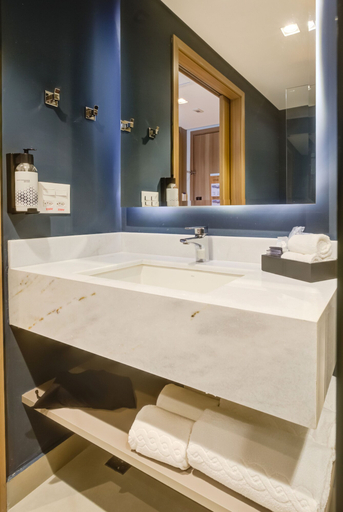 Bathroom 4, Hilton Garden Inn São José do Rio Preto, São José do Rio Preto