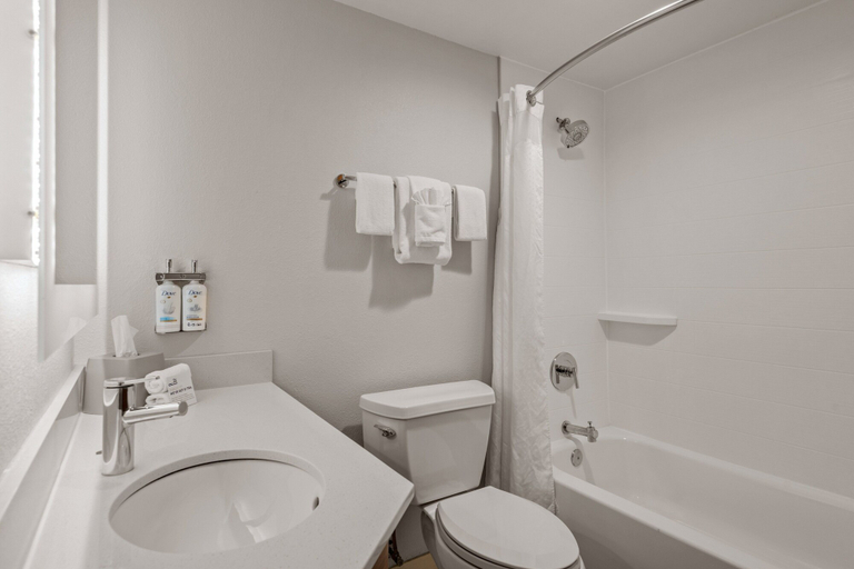 Bathroom 5, Holiday Inn Express HERSHEY (HARRISBURG AREA) by IHG, Dauphin