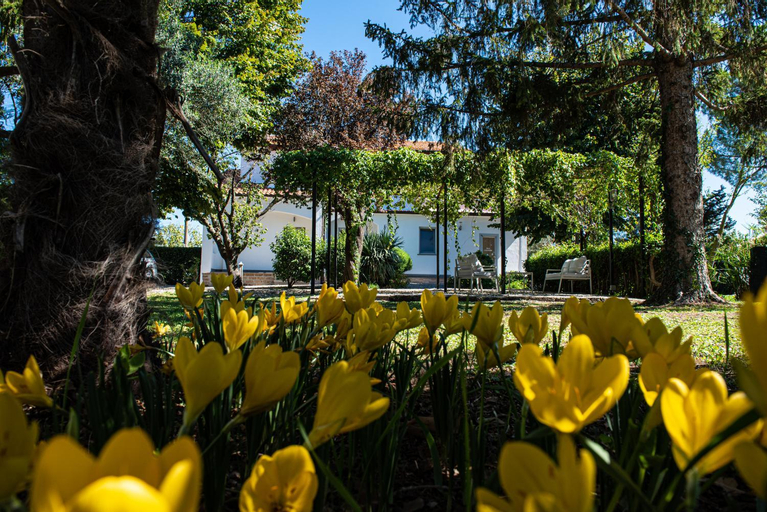 Terre Etrusche Guest House-Terme -3 minuti da Viterbo centro, Viterbo