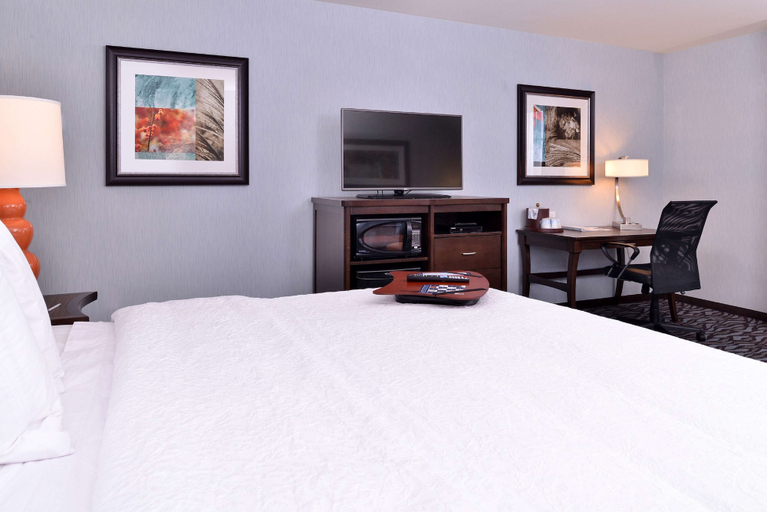 Bedroom 4, Hampton Inn Potsdam, NY, Saint Lawrence