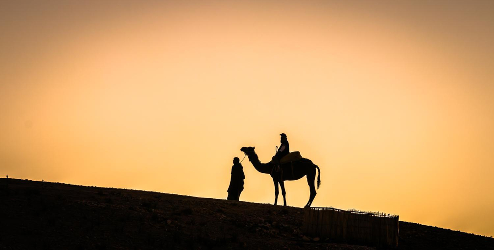 Others 5, Camp Cameleon, Marrakech