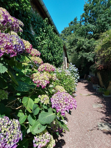 Others 4, La Chevallerie - Tranquil oasis, Manche