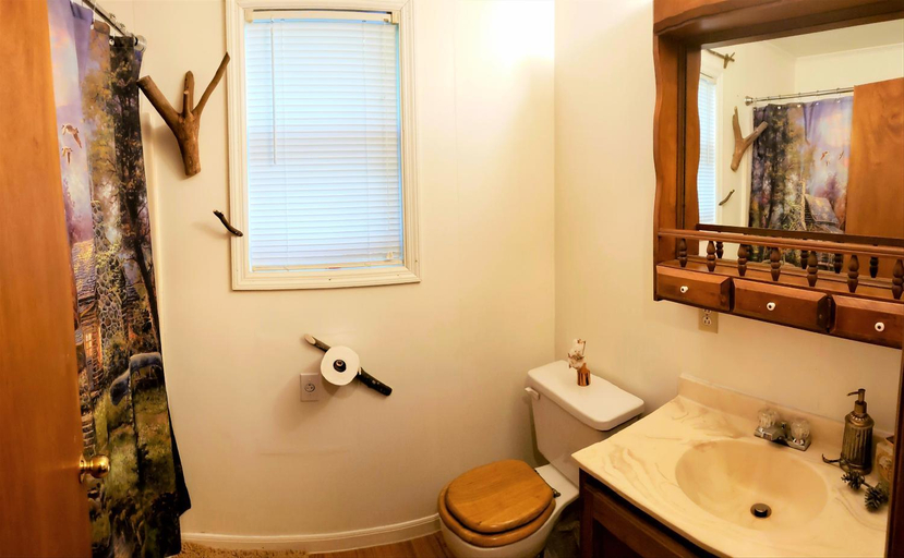 Bathroom, Mountain Laurel Cottage at Hearthstone Cabins and Camping - Pet Friendly, White