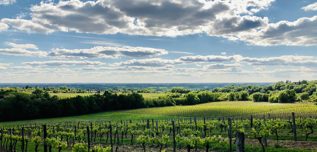Others 5, Chateau Fauchey, Gironde