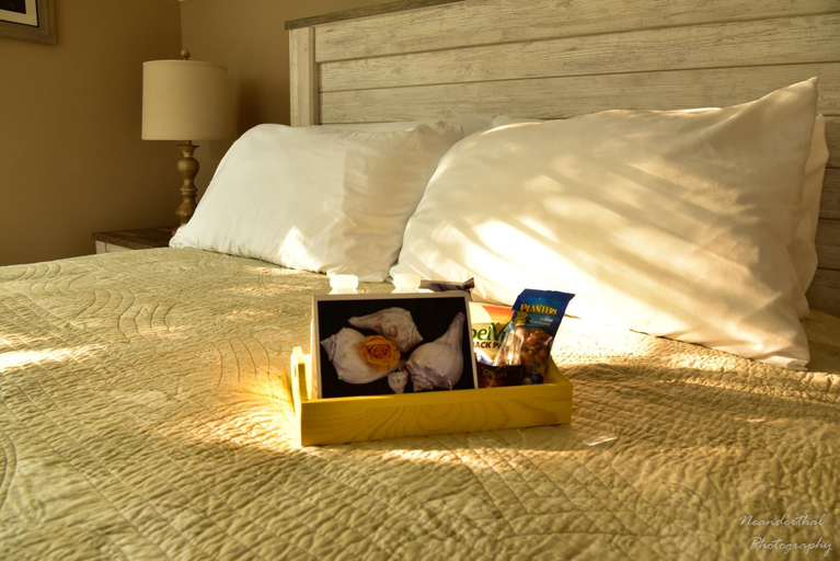 Others 5, The Yellow Rose of Talbot Bed and Breakfast, Talbot