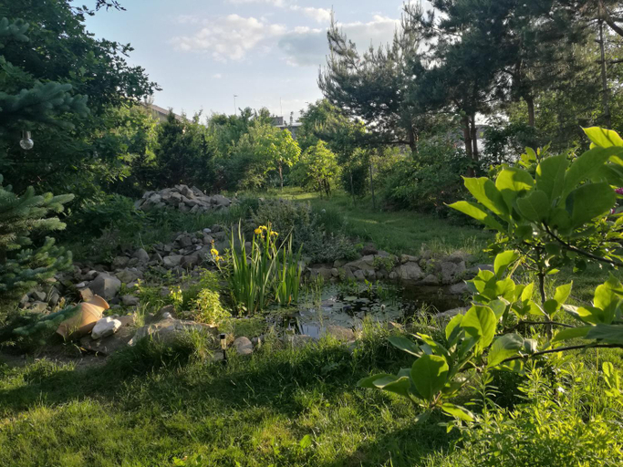 Others 4, Wellspring, Radom City