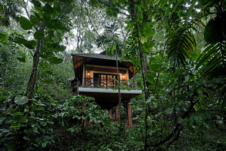 Others 4, Coffee Acres Resort, Wayanad