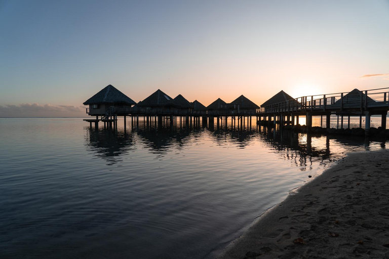 Others 3, Douceur Tropicale Proximite plage et commerces