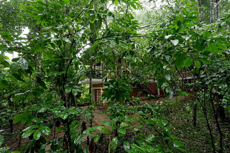 Others 3, Coffee Acres Resort, Wayanad