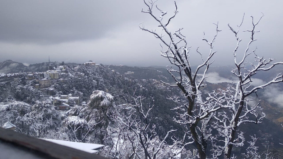 Others 4, Hotel Amar Palace, Shimla