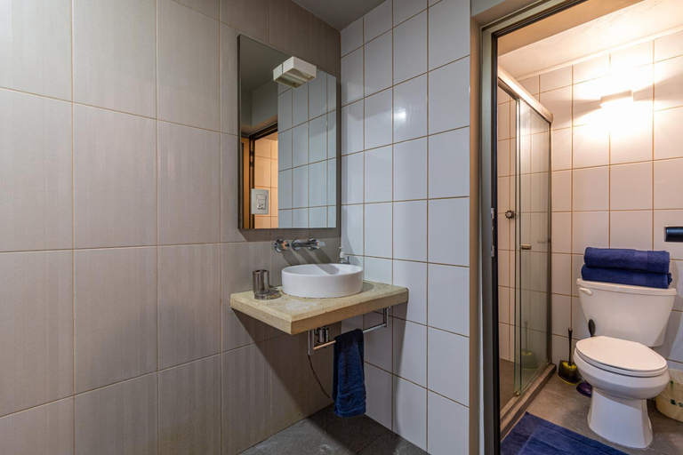 Bathroom 3, Terraza & Loft San Angel, Mexico City