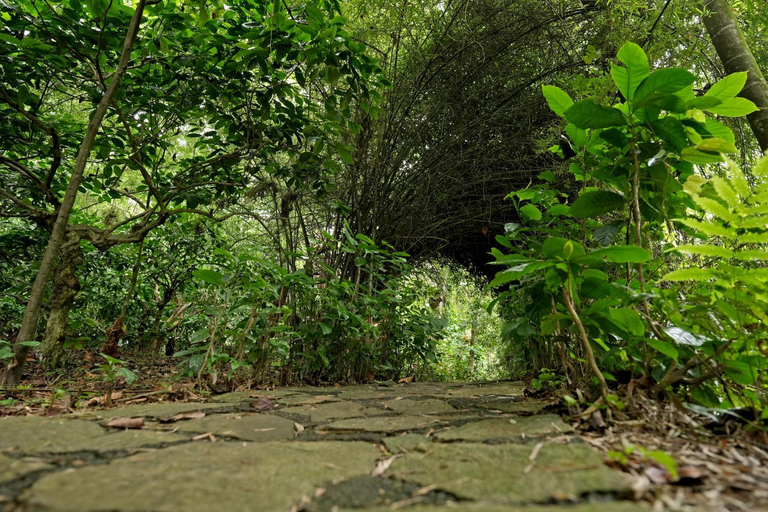 Others 5, Coffee Acres Resort, Wayanad