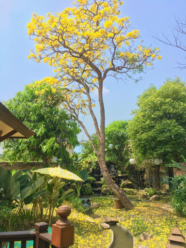 Scenery 8
