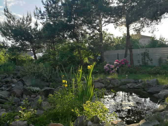 Others 5, Wellspring, Radom City