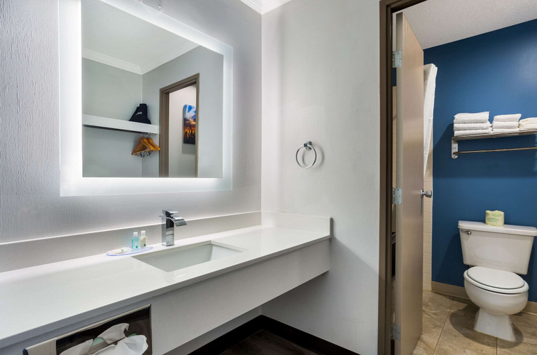 Bathroom 4, Quality Inn South Bend Near Notre Dame, Saint Joseph