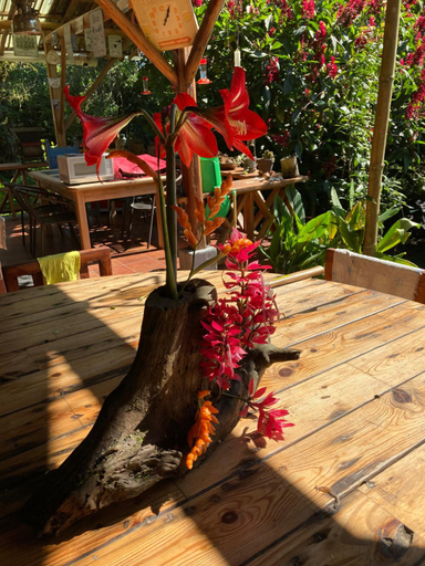 Others 5, La Providencia Lodge, San Miguel de los Bancos