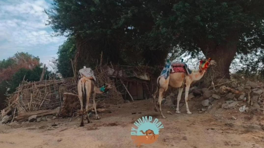 Others 3, Torya Nubian House, Aswan