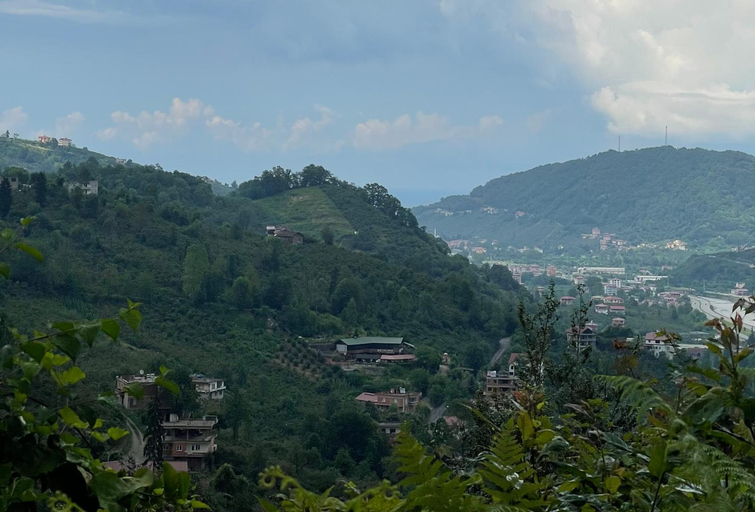 Surrounding environment 2, ASIL 101 Karadeniz kus cenneti, Araklı