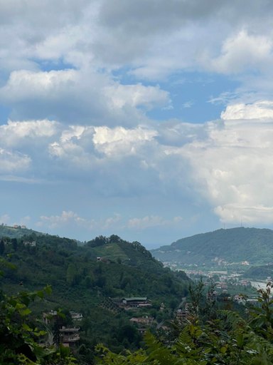 Surrounding environment