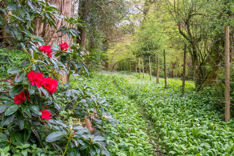 Others 5, Nutsford House Bed & Breakfast, Somerset