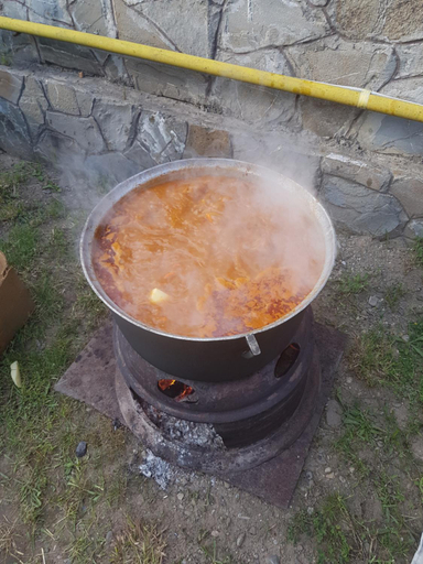 Food & Drinks 4, Pensiunea Moldova, Viisoara