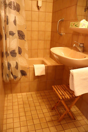 Bathroom 2, Haus Hubertus, Ortenaukreis