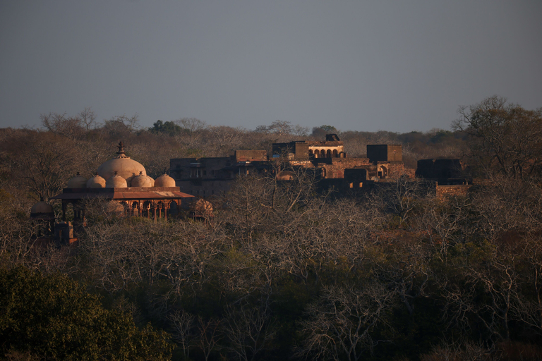 Exterior & Views 2, Sawai Shivir Ranthambore by TUTC, Sawai Madhopur