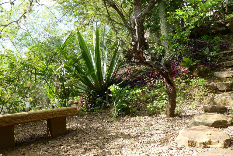 Others 5, El Paraiso - B&B Finca San Vicente, Barichara