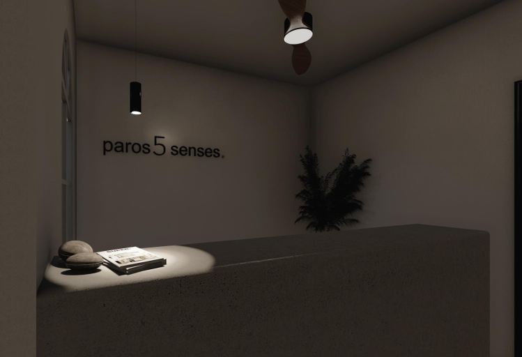 Public Area, PAROS FIVE SENSES, South Aegean