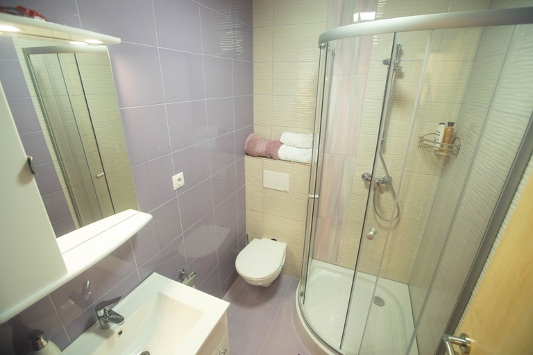 Bathroom 3, Pensiunea Livada Amely, Saliste