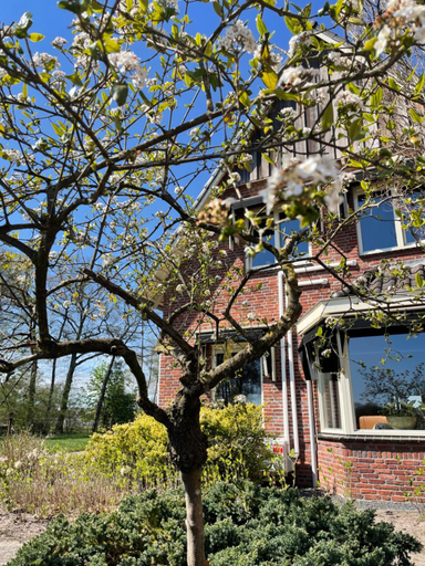 Others 4, Bed and Breakfast De Beekhoek, Enschede