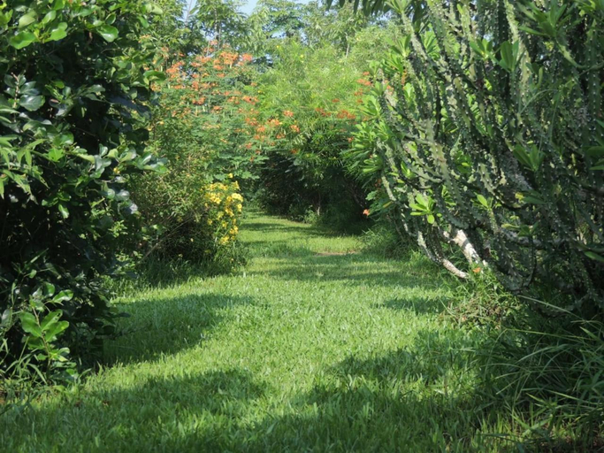 Others 4, Maylyn Guesthouse, Vangvieng
