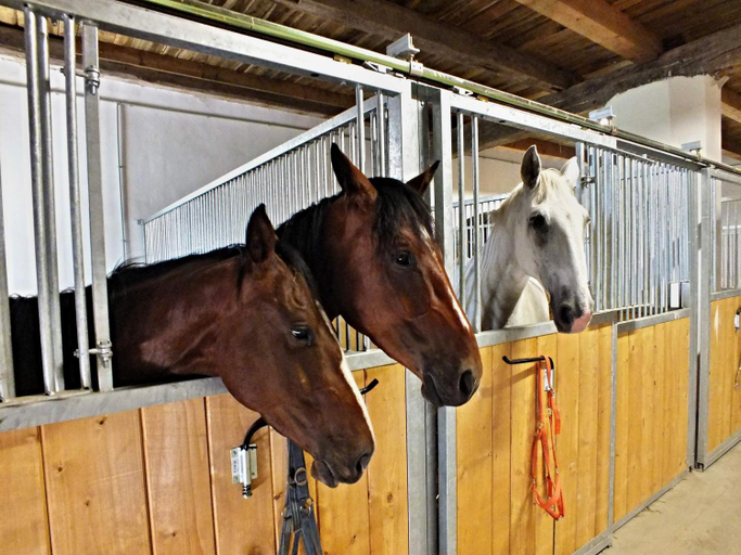 Others 4, Zamecky Dvur Cernousy, Liberec