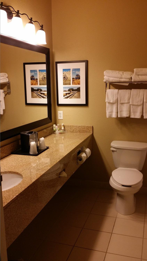 Bathroom 4, Country Inn & Suites by Radisson, Minot, ND, Ward
