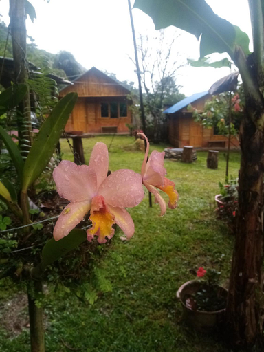 Others 3, Cabanas orquidea, Samaná