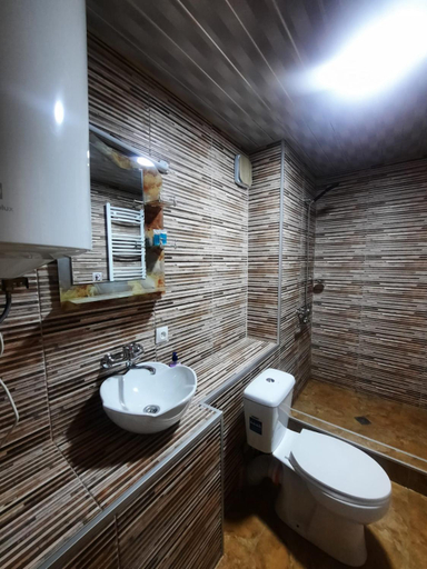Bathroom 2, Brothers khutsishvili wine cellar, Telavi