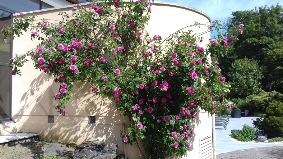 Others 5, Le Manoir de la mantille, Nord