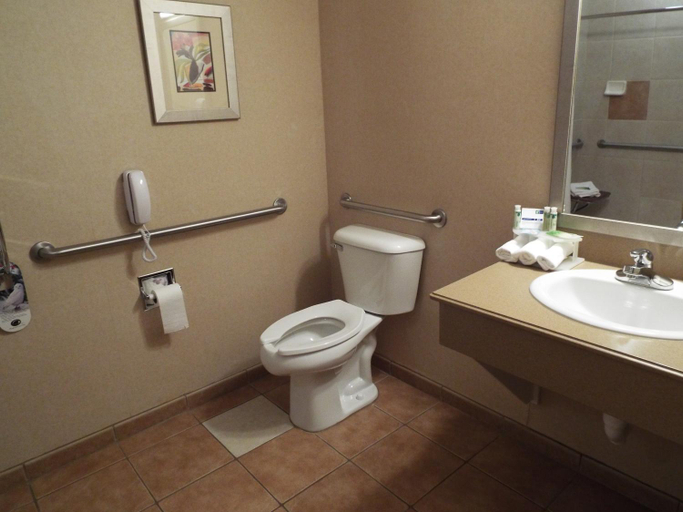 Bathroom 4, Holiday Inn Express & Suites LIMON I-70 (EX 359) by IHG, Lincoln
