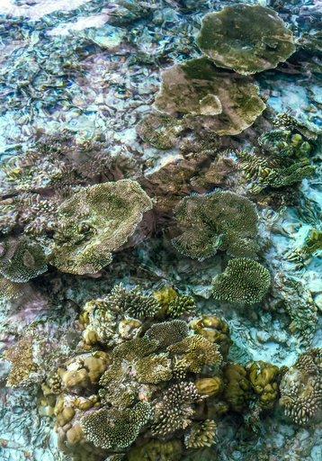Others 5, Hide Inn Blue, Mulaku Atoll