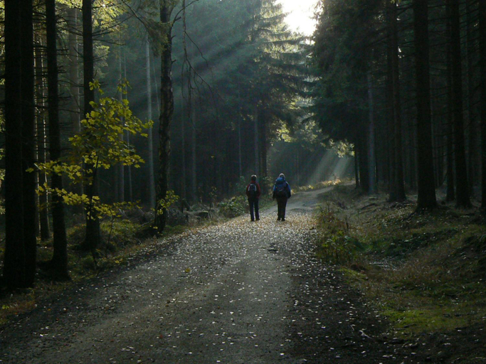 Others 4, Zimmervermietung-Heide-Fiege, Mittelsachsen