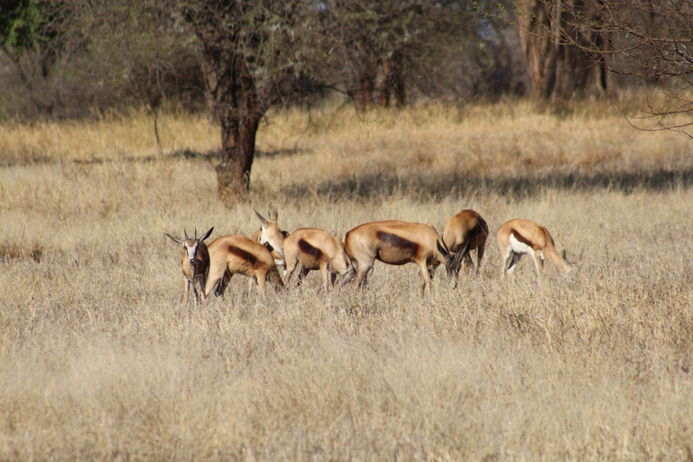 Others 3, Rustic Stone Lodge, Waterberg