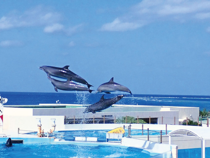 Sport & Beauty 5, ZOE RESORT THE Sunset Village OKINAWA CHATAN, Chatan