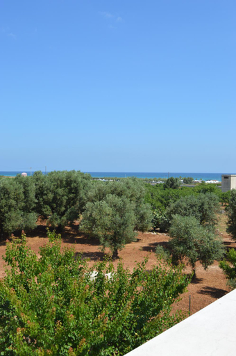 Others 4, Le Terrazze Miramare B&B, Brindisi