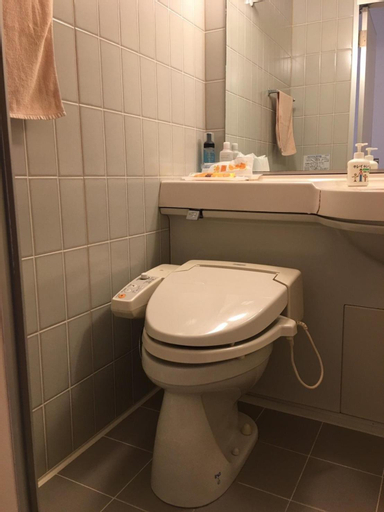 Bathroom 8