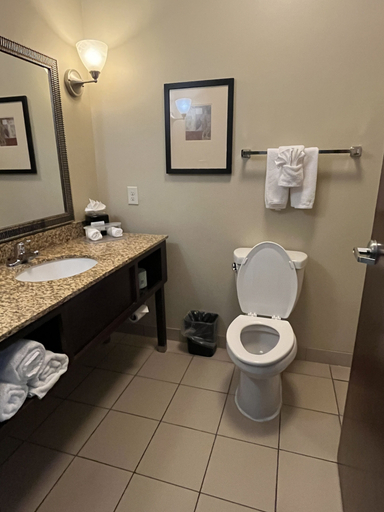 Bathroom 4, Holiday Inn Express & Suites DEMING MIMBRES VALLEY by IHG, Luna