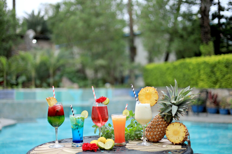 Food & Drinks 5, Hummingbird Resort, Sirohi