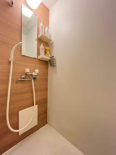 Bathroom 3, Ikemune Bldg, Osaka