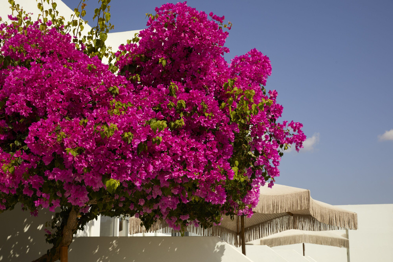 Exterior & Views 2, Absolute Kiotari Resort, South Aegean